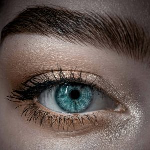Look into my eyes, research spotlight by Dr Katie Kjelsaas